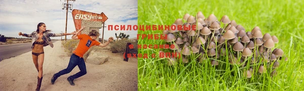 мяу мяу кристалл Аркадак