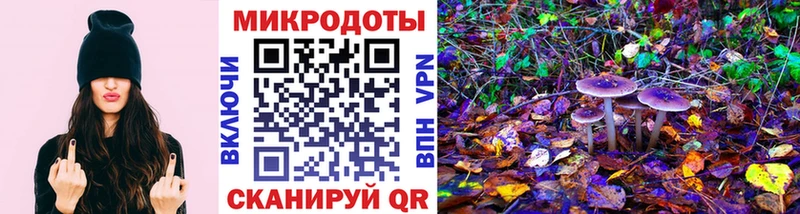 blacksprut сайт  Сердобск  Псилоцибиновые грибы мицелий  дарнет шоп 